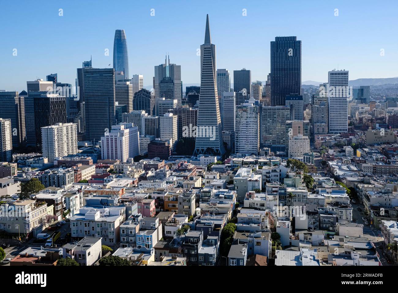 View towards the Transamerica Pyramid in downtown San Francisco from the Coit Tower on Telegraph Hill, California, USA Stock Photo