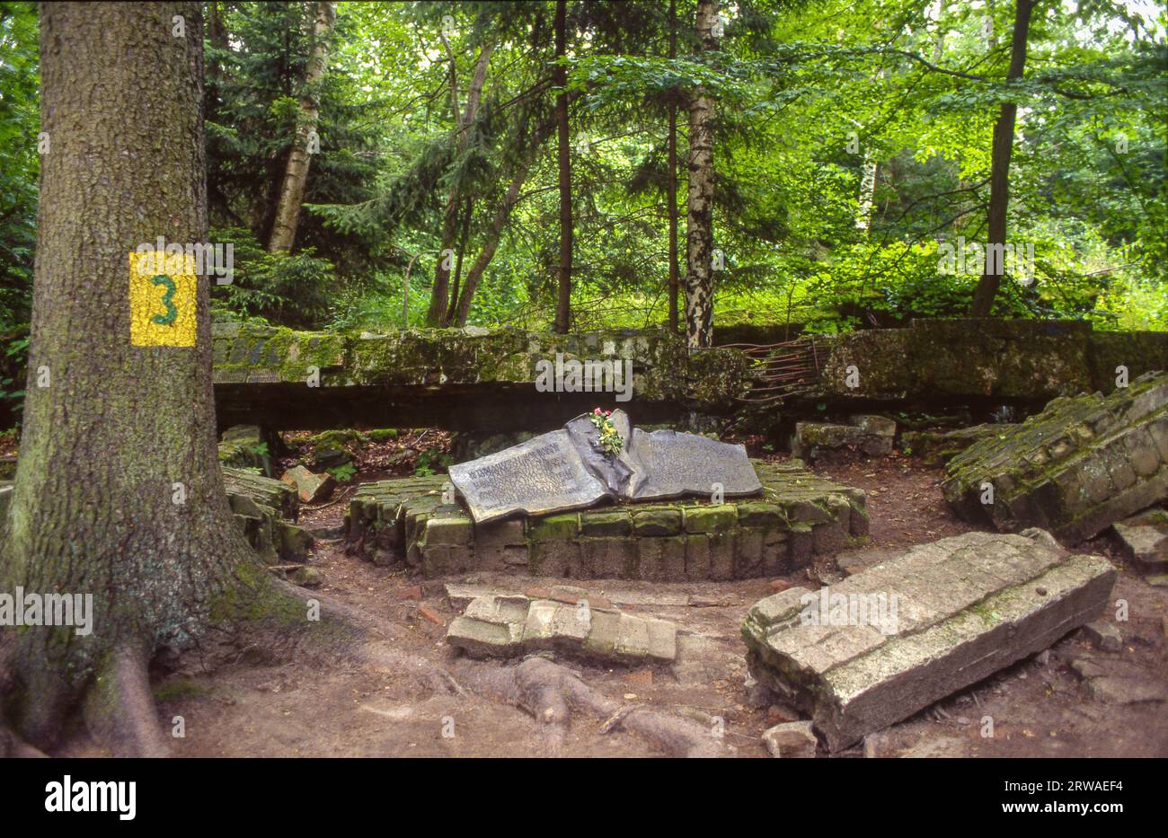 Poland, Gorlitz, part of the Wolf's Lair (German: Wolfsschanze) that served as Adolf Hitler's first Eastern Front military headquarters in World War I Stock Photo