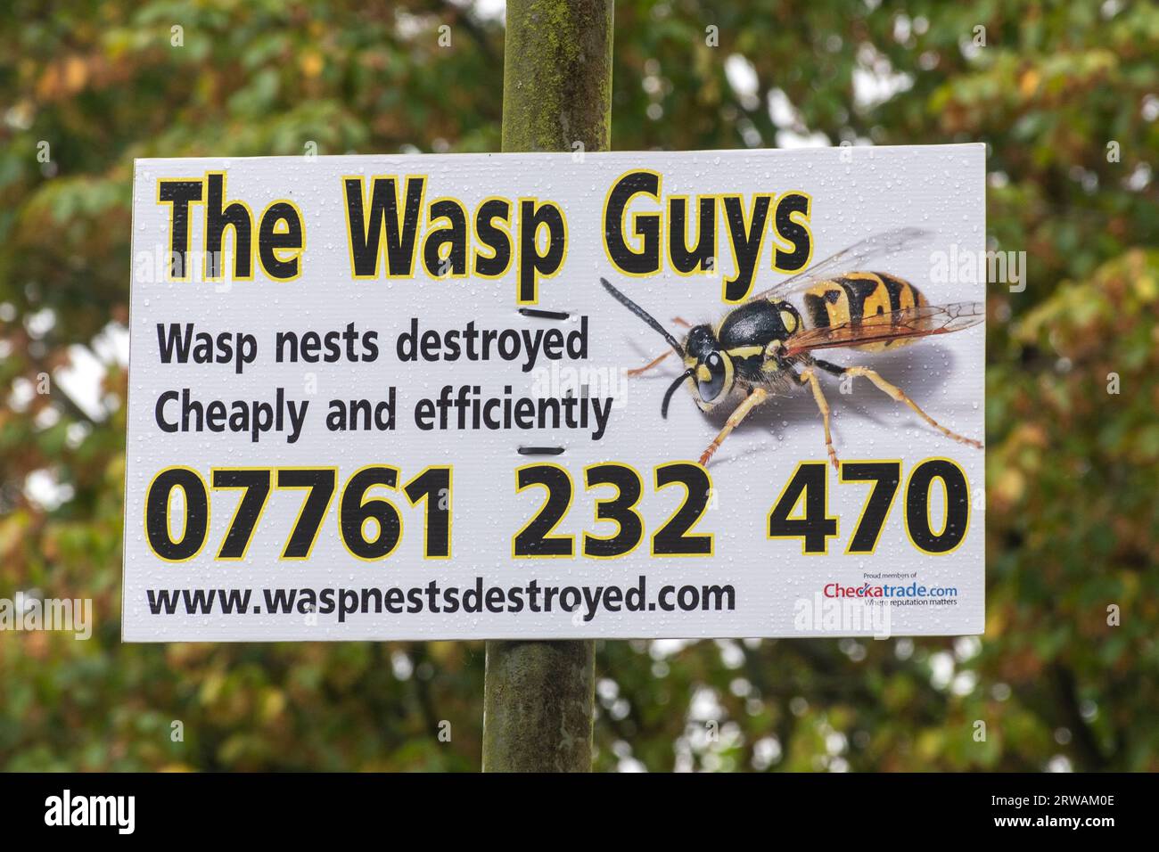 Advert for The Wasp Guys, company that destroys wasp nests Stock Photo