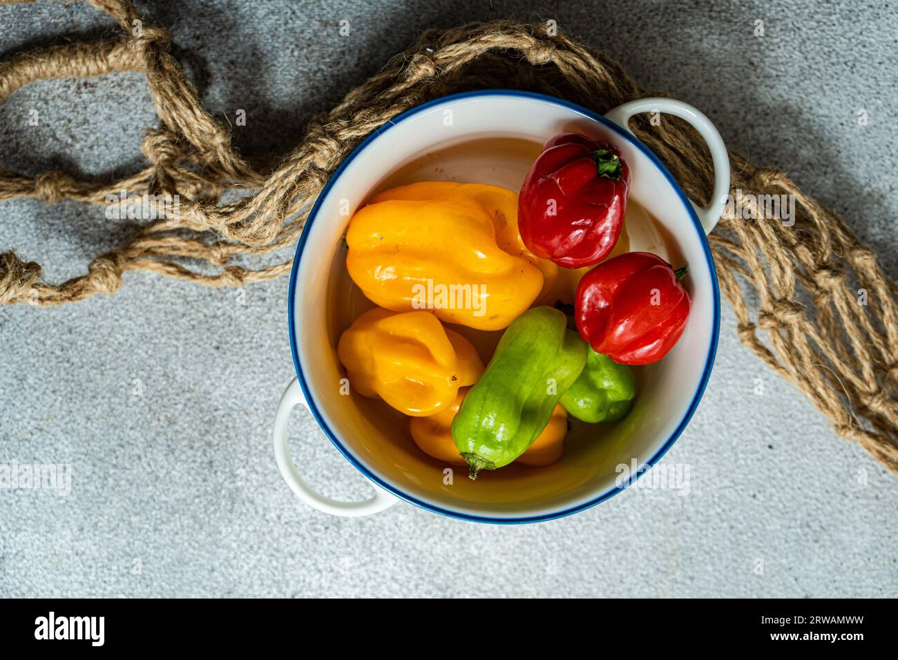 Colorful Scotch bonnet spicy peppers on grey concrete background Stock Photo