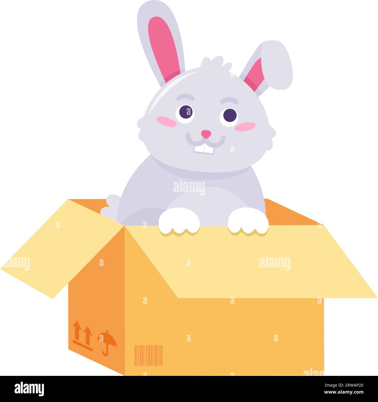 Small adopt eared hare sits in cardboard box for birthday gift ...