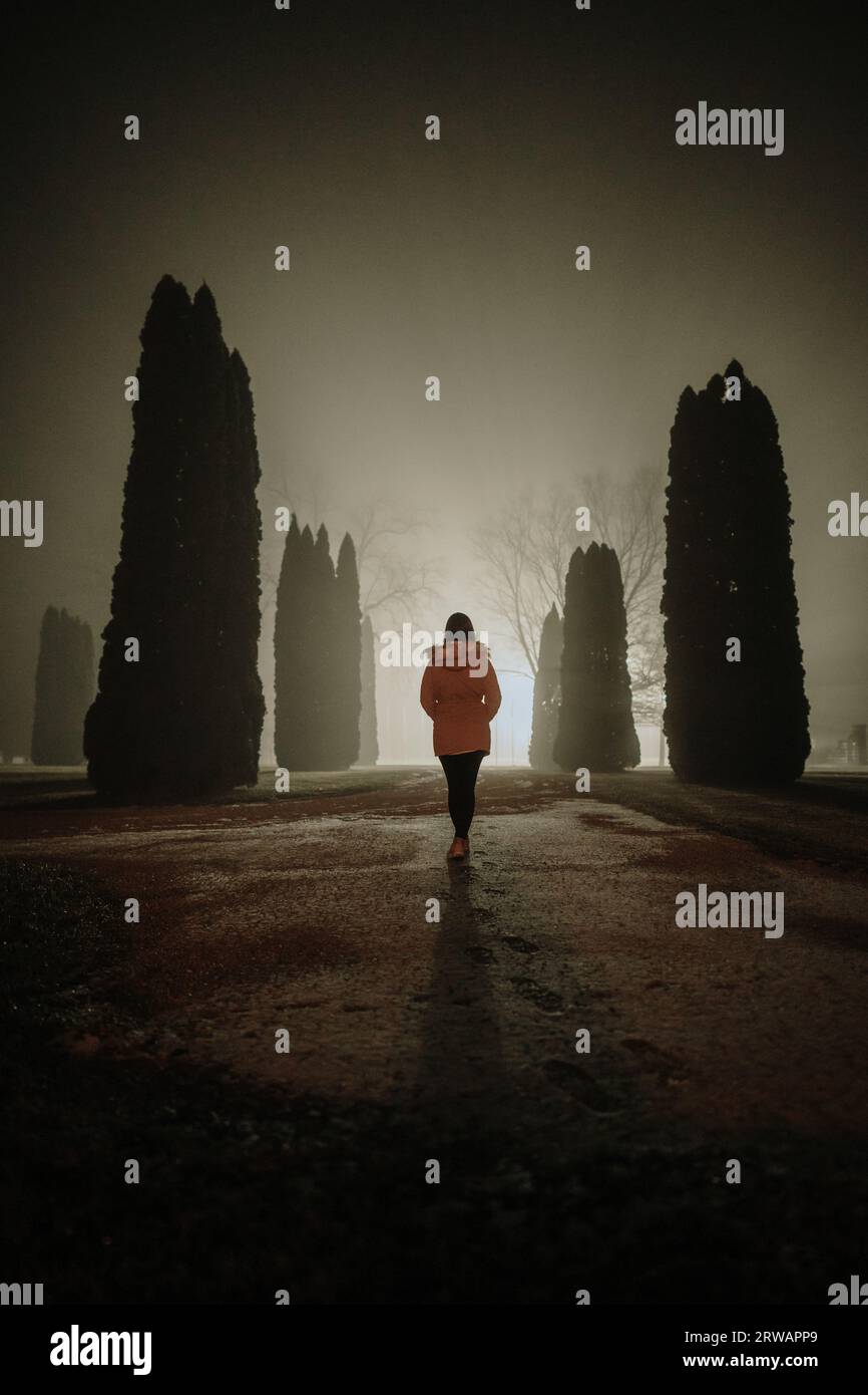 Rear view of a girl standing in a park at night Stock Photo - Alamy