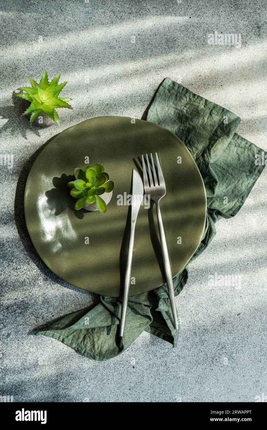 Minimalistic table setting with home plants on concrete table Stock Photo