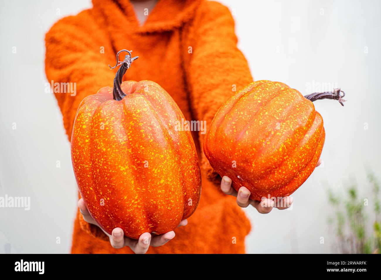 Close-up of a boy holding two pumpkins Stock Photo