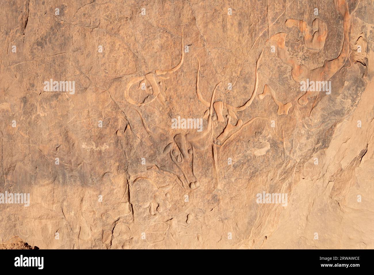rock art in the sahara desert, djanet, algeria Stock Photo