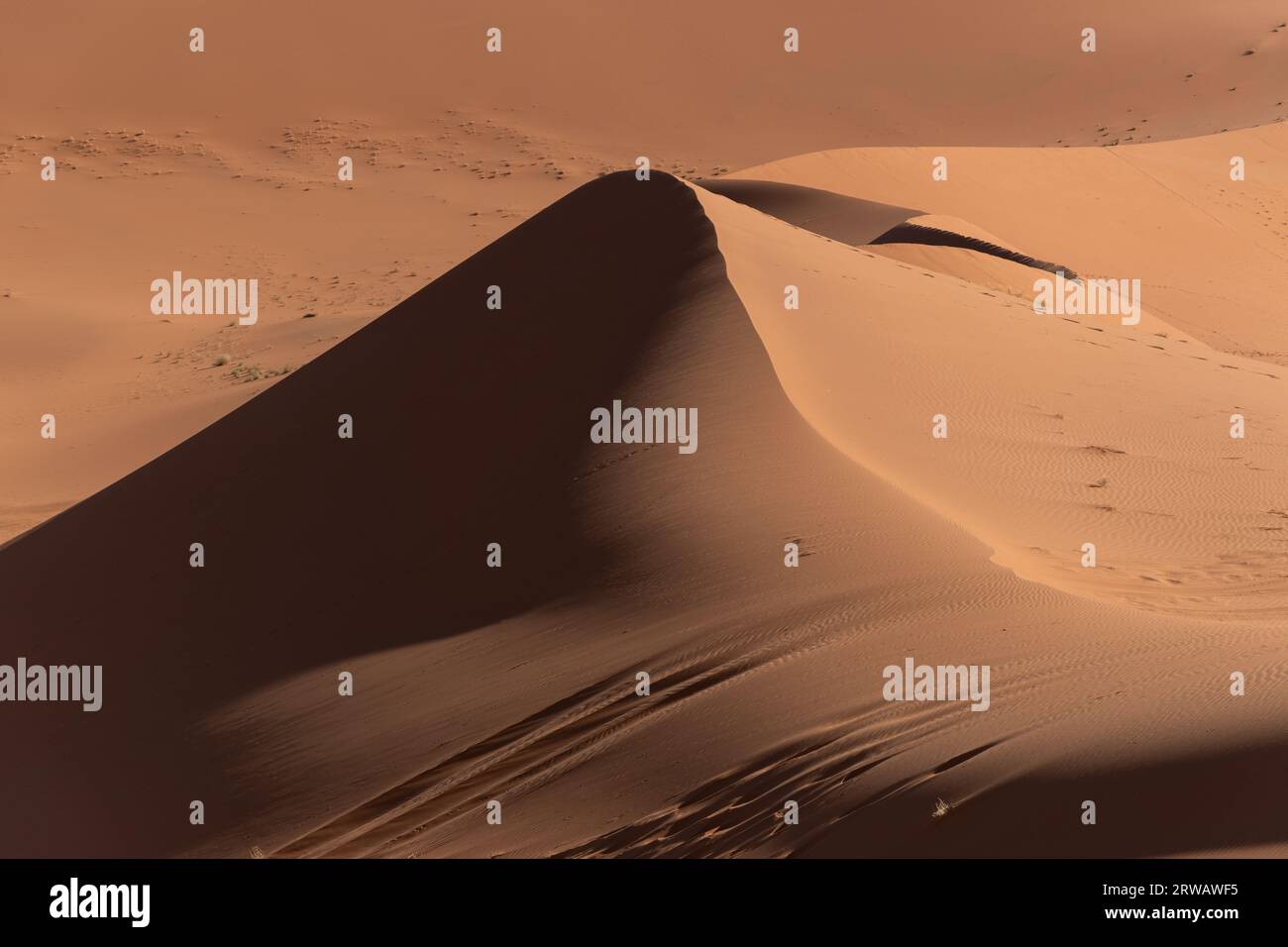 Dunes at the sunset in the Sahara desert Stock Photo