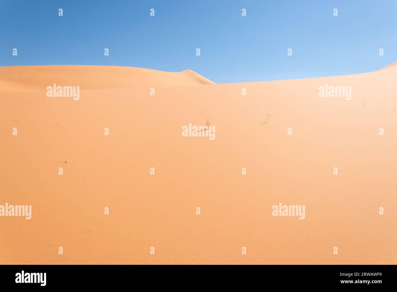 Perfect dune of Sahara desert Stock Photo