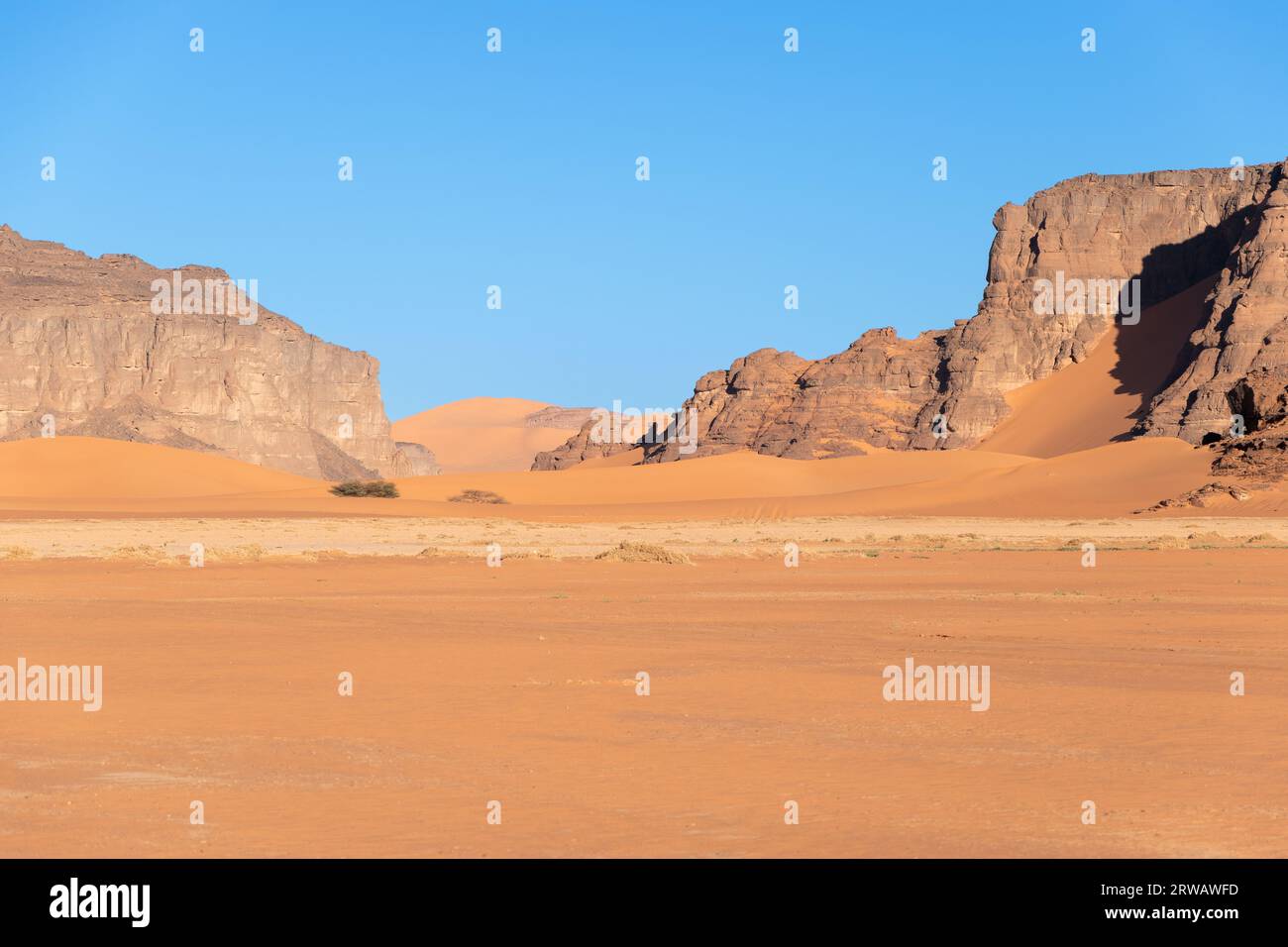Panorama in the Sahara desert Stock Photo