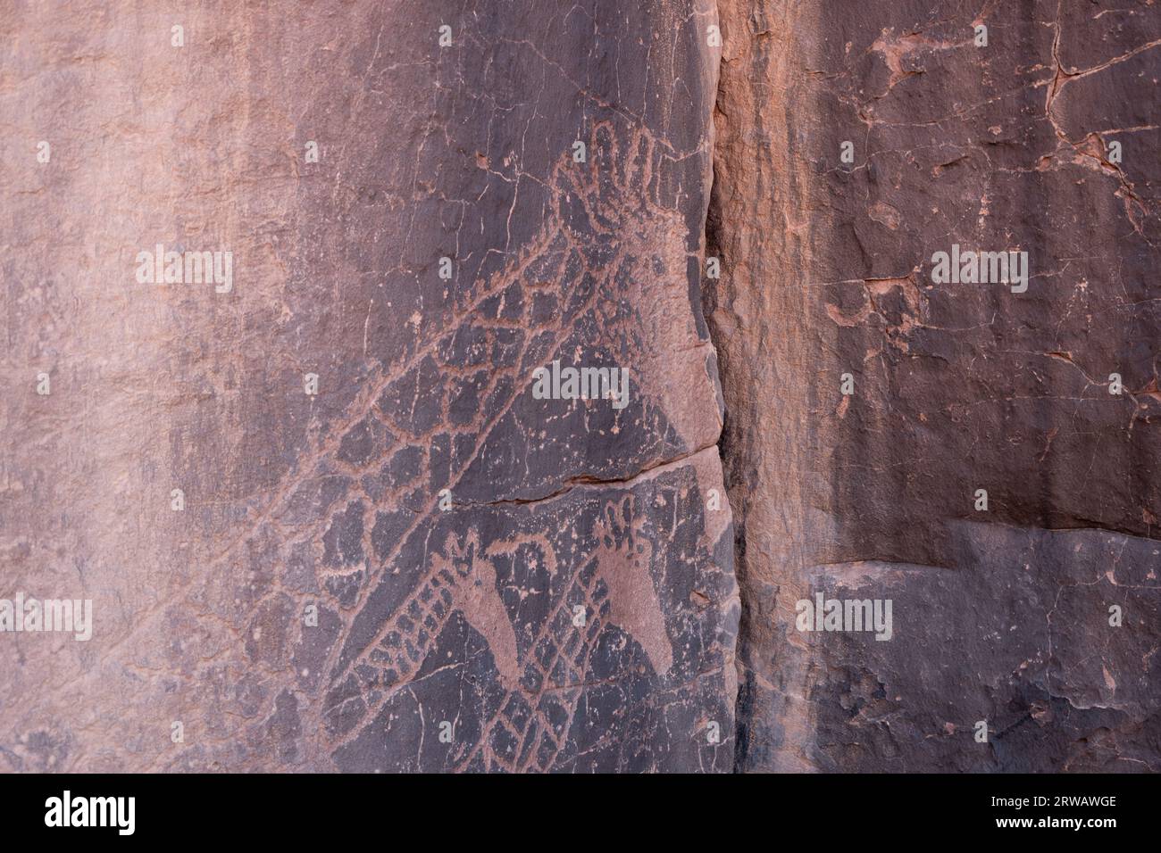Prehistoric rock carvings in the Sahara desert Stock Photo
