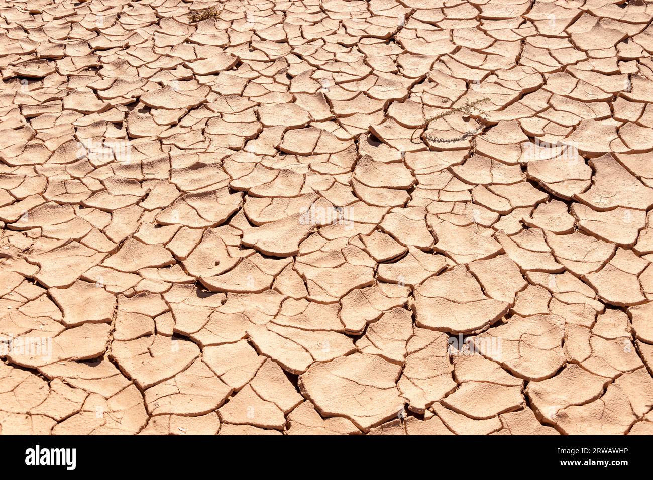Dry lake in the Sahara desert Stock Photo
