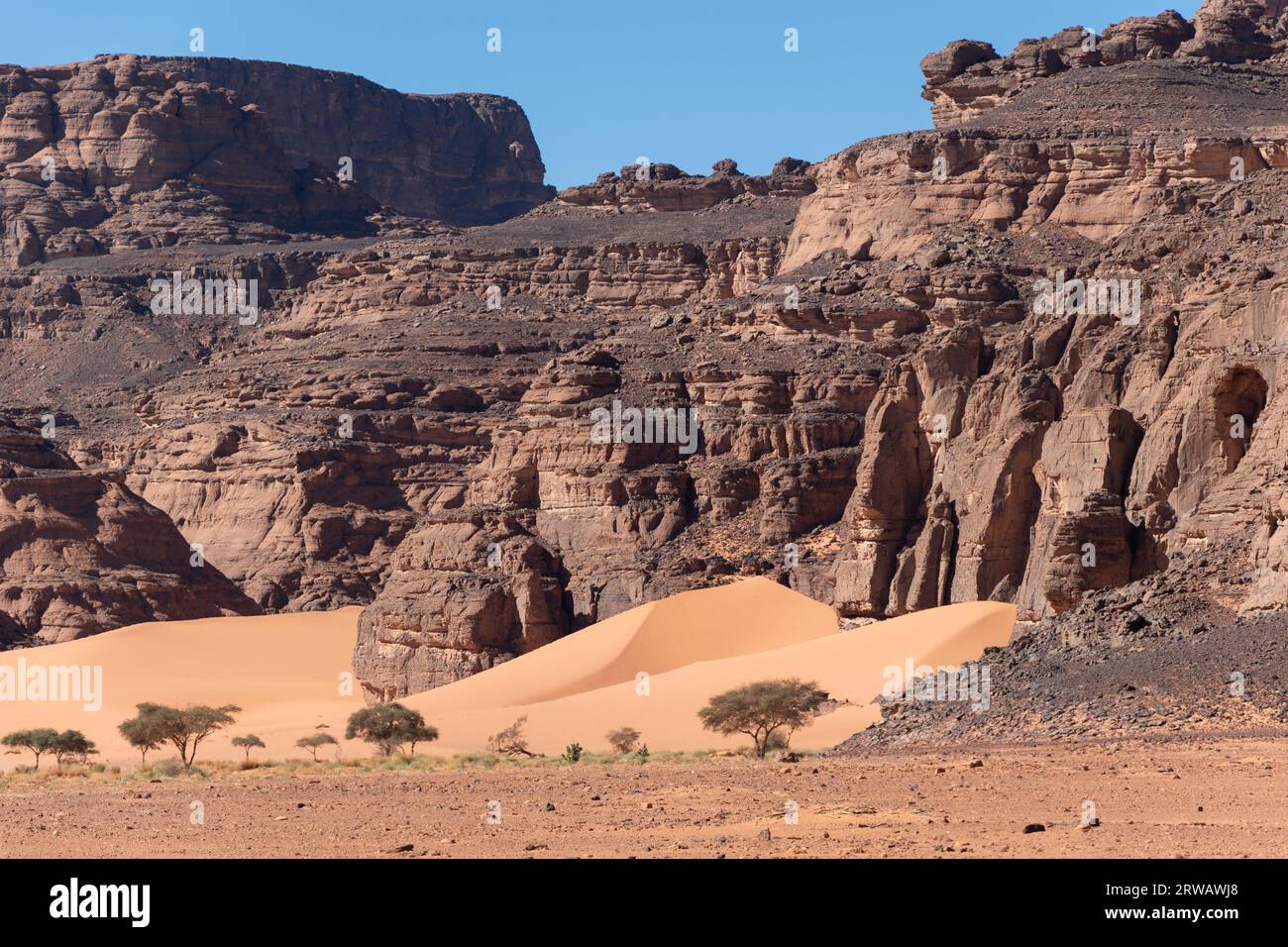 Valley of the Sahara desert in Algeria Stock Photo