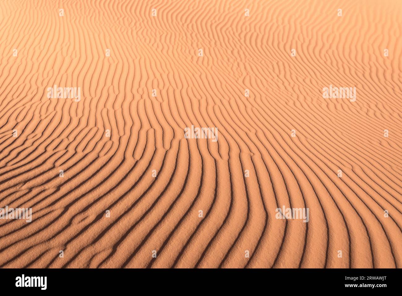 Beautiful pattern in a dune of Sahara desert Stock Photo