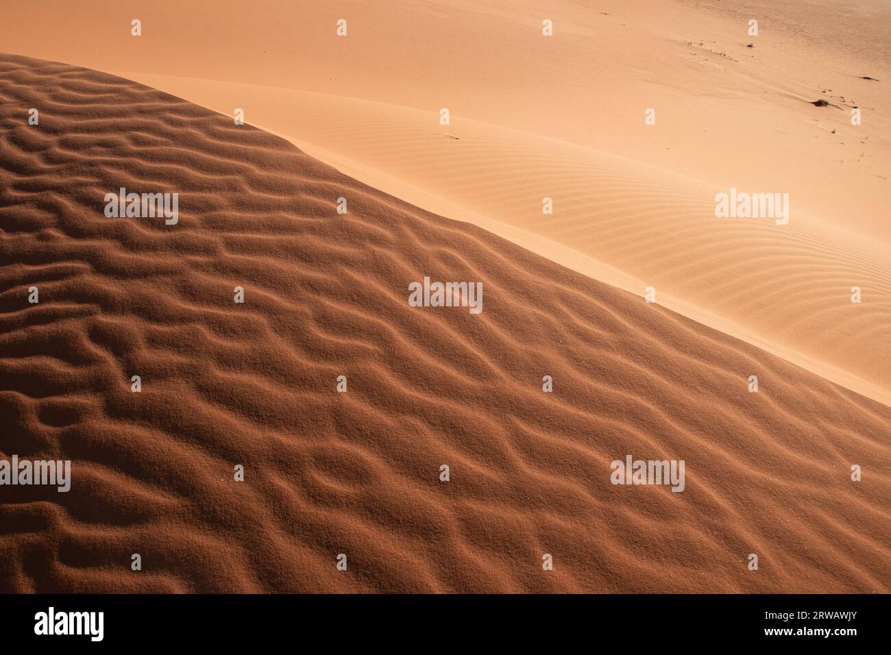 Beautiful pattern in a dune of Sahara desert Stock Photo