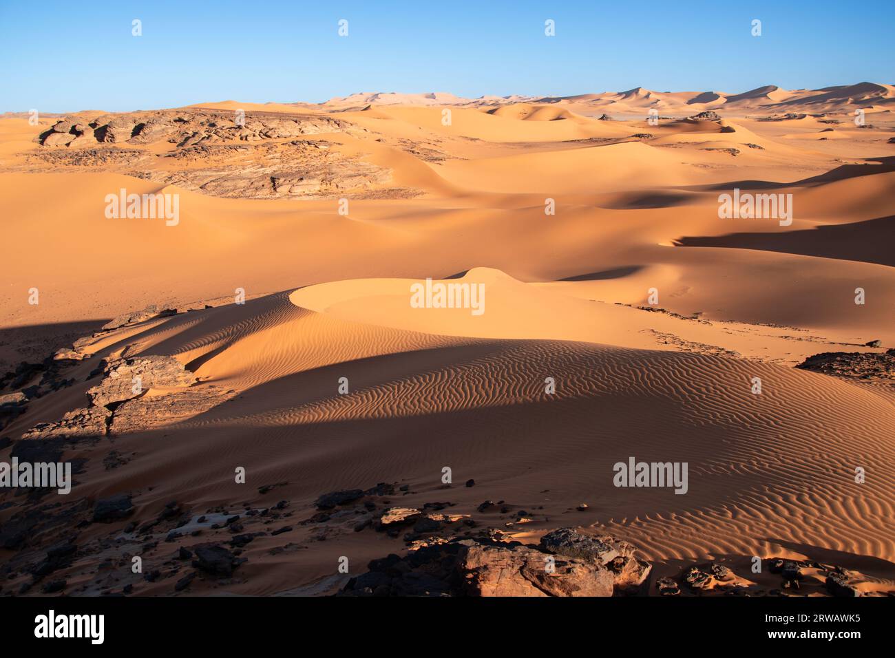 Erg: big field of dunes in the Sahara desert Stock Photo