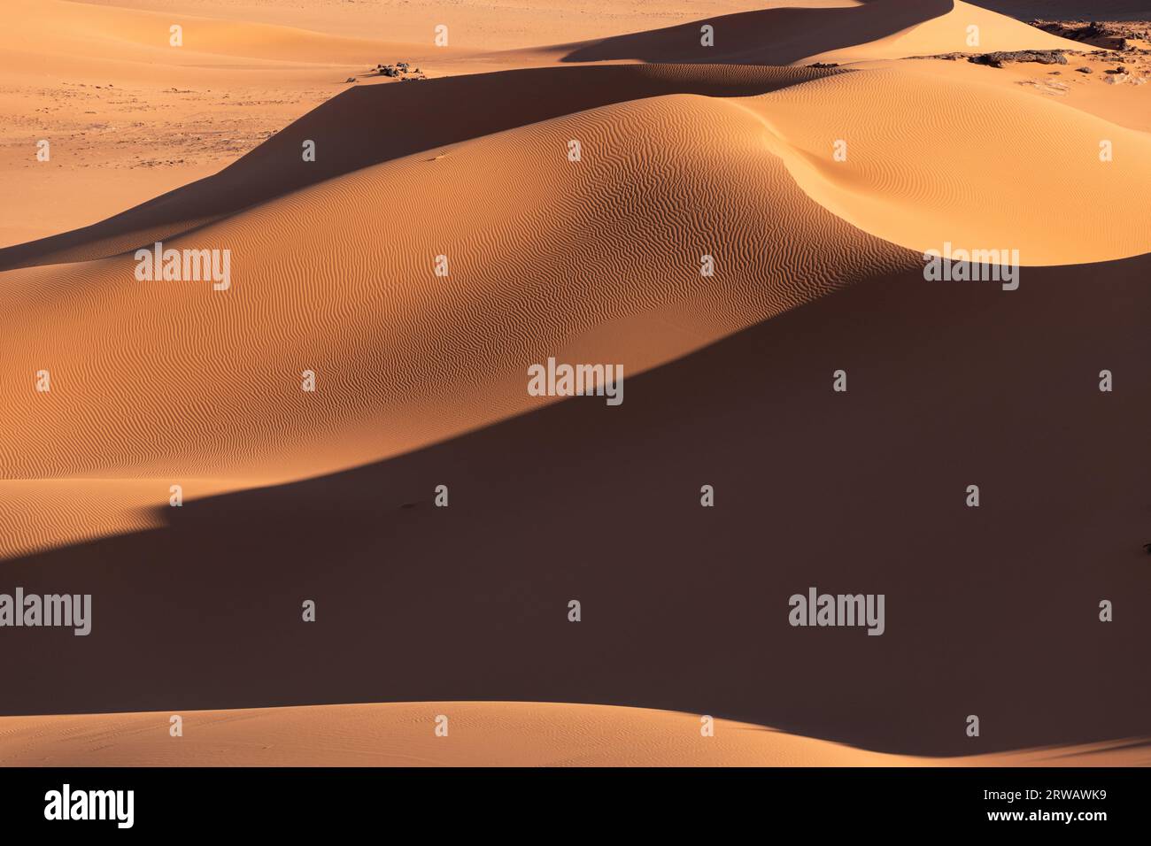 Big dunes in the Sahara desert Stock Photo