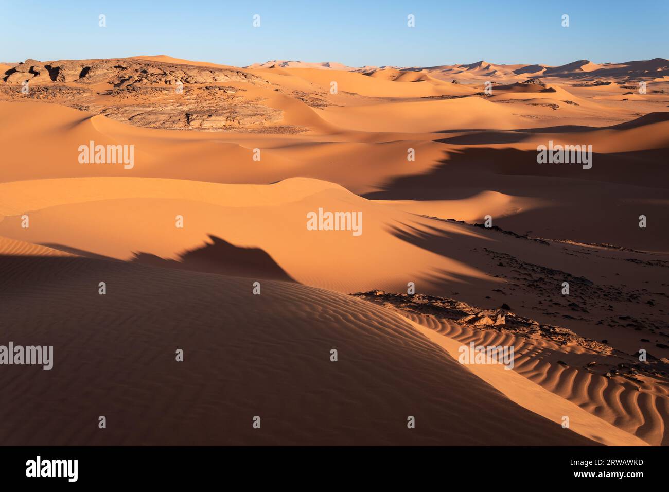 Dunes landscape at the sunset Stock Photo