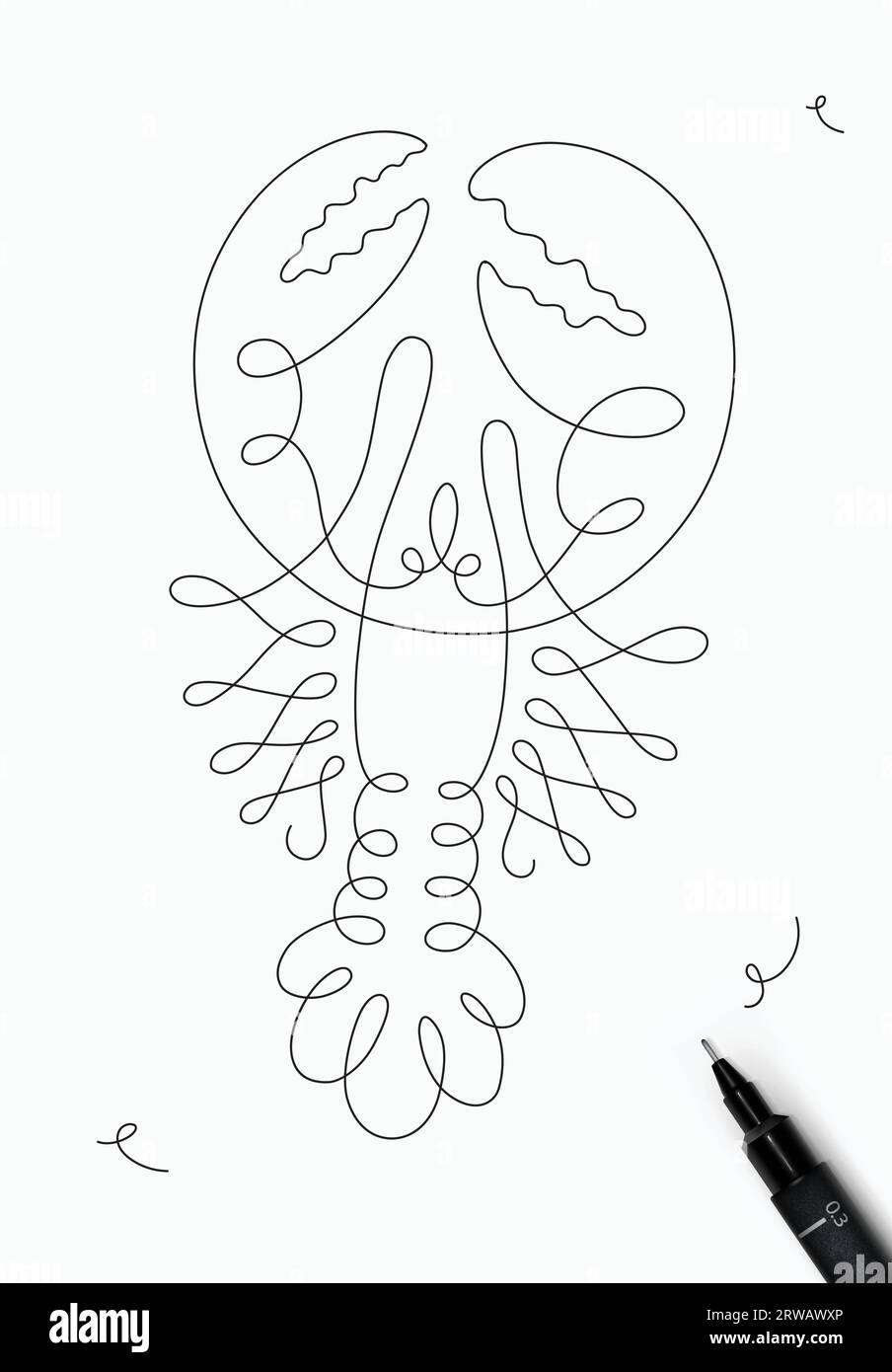 Lobster sea creature drawing in pen line style on white background Stock Vector