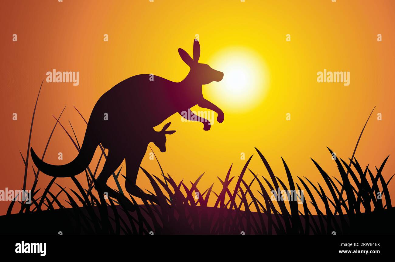 kangaroo silhouette afternoon backgrounde vector illustration Stock Vector