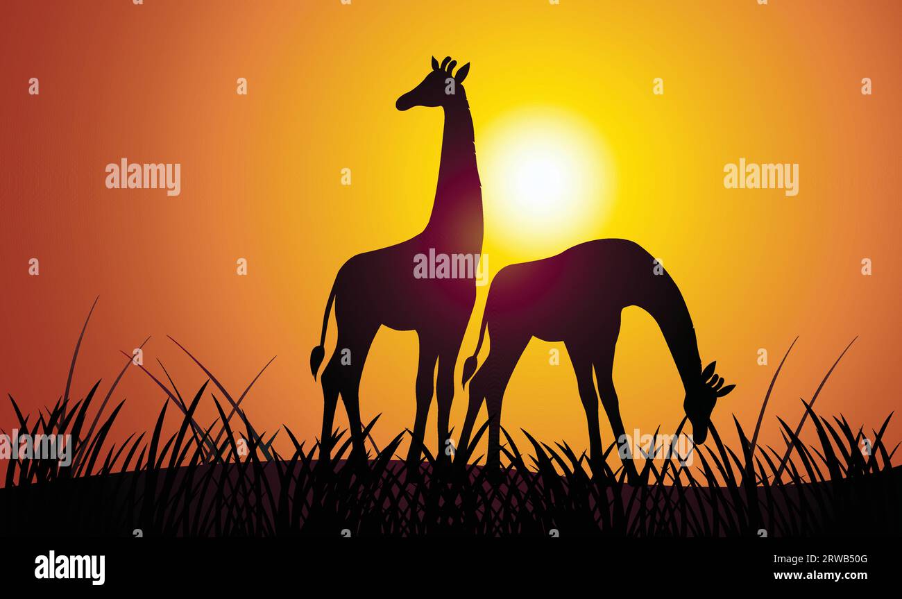 giraffe silhouette afternoon backgrounde vector illustration Stock