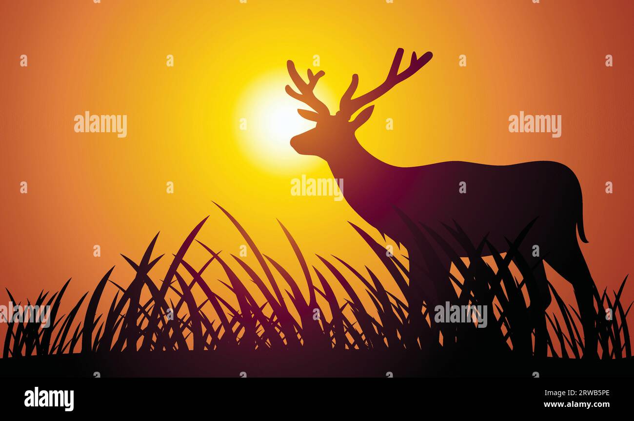 Deer  silhouette afternoon backgrounde vector illustration Stock Vector