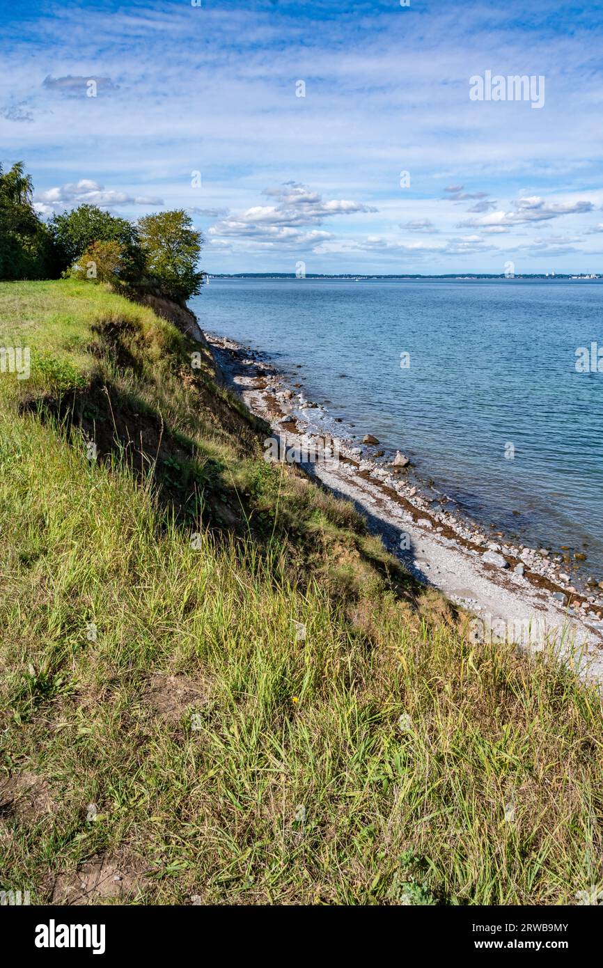 Brodtener Steilufer, über den grün bewachsenen Boden hinunter auf den Natur Strand und die Ostsee, der Himmel ist etwas heller und leicht bewölkt Stock Photo