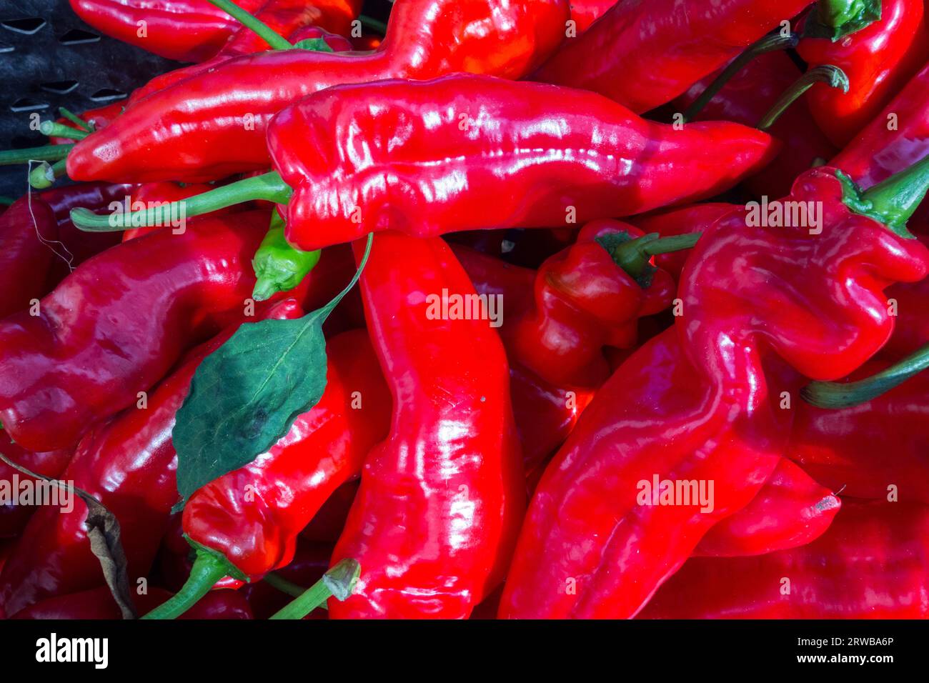 Close-up of South American red Cayenne chili peppers Stock Photo