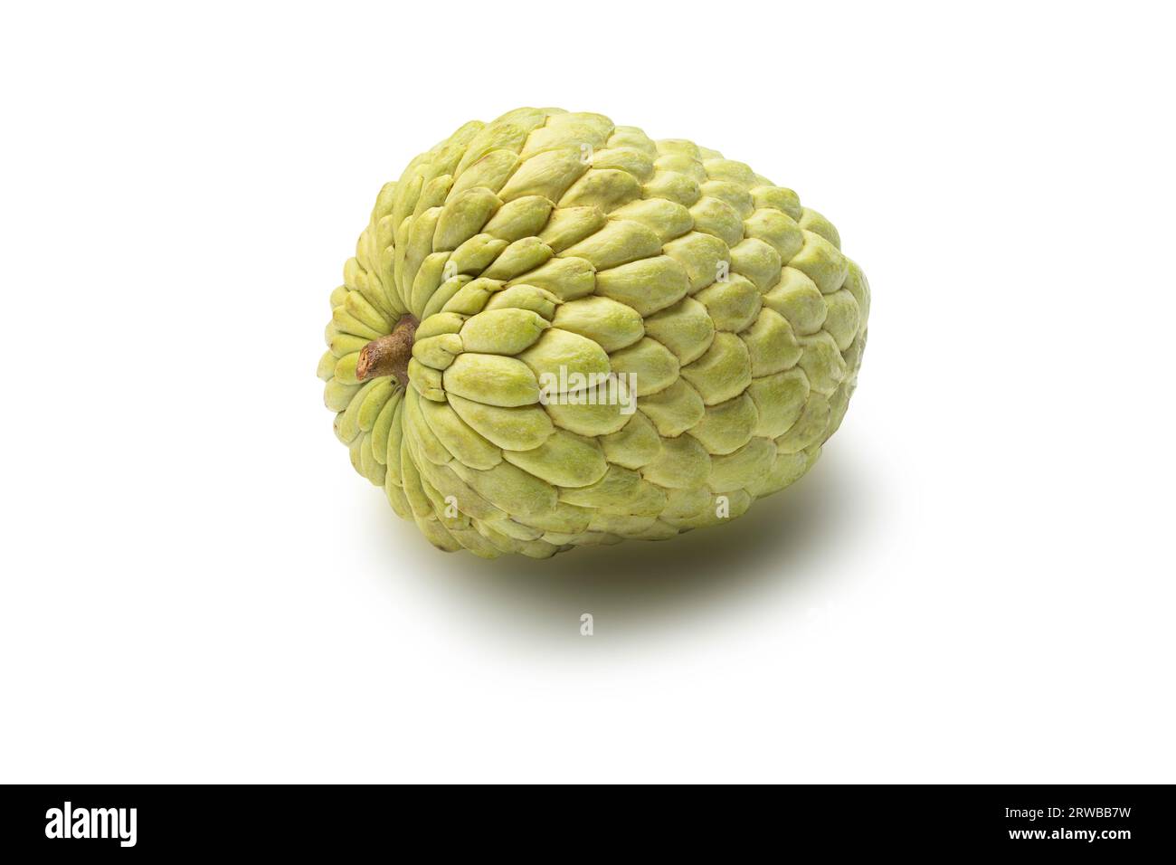 Fresh annona, sweetsop sugar apple or custard apple isolated on white background clipping path, exotic tropical Thai annona or cherimoya fruit, health Stock Photo