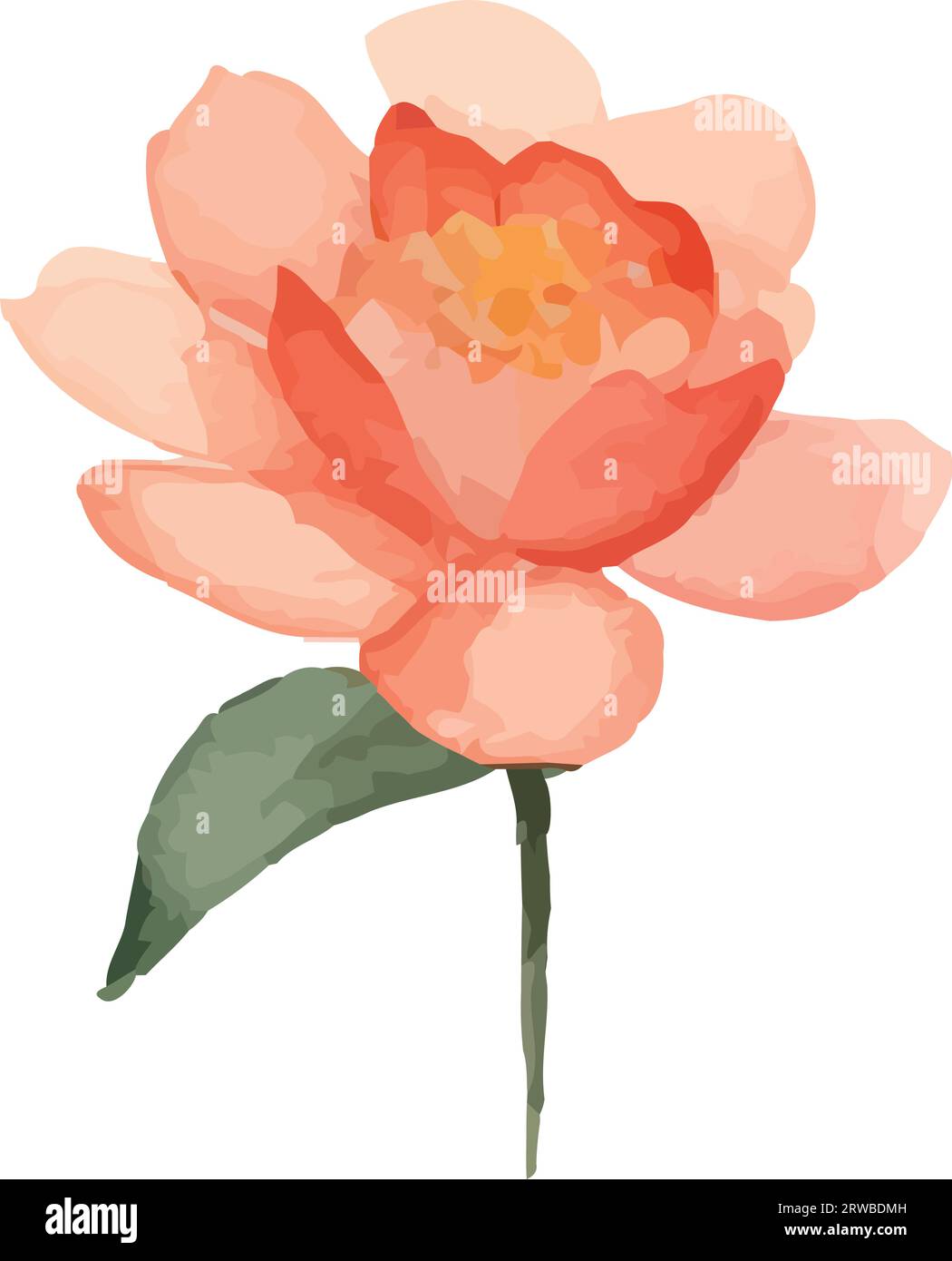 pink rose flower garden nature icon Stock Vector Image & Art - Alamy