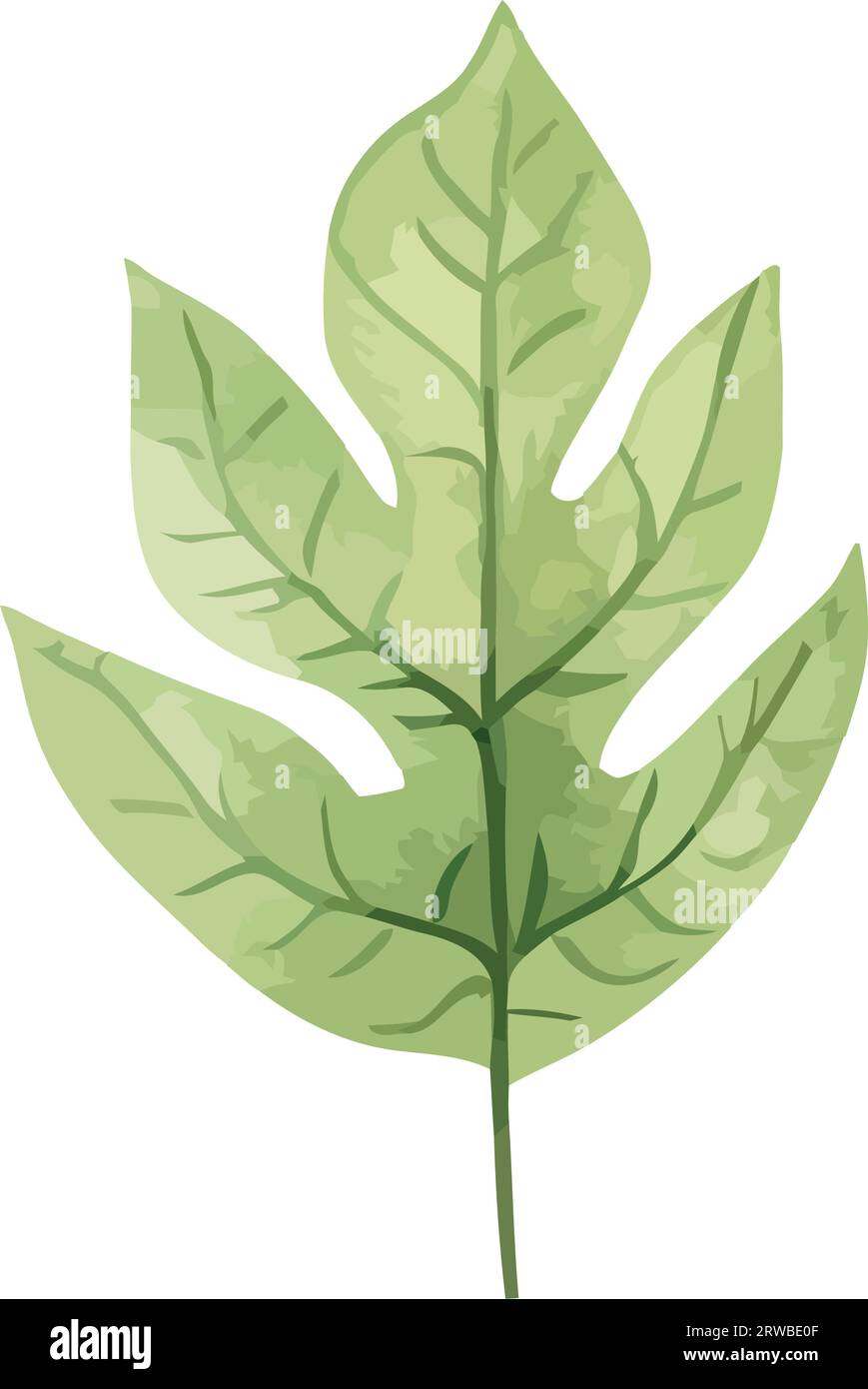 green leaf plant nature icon Stock Vector Image & Art - Alamy