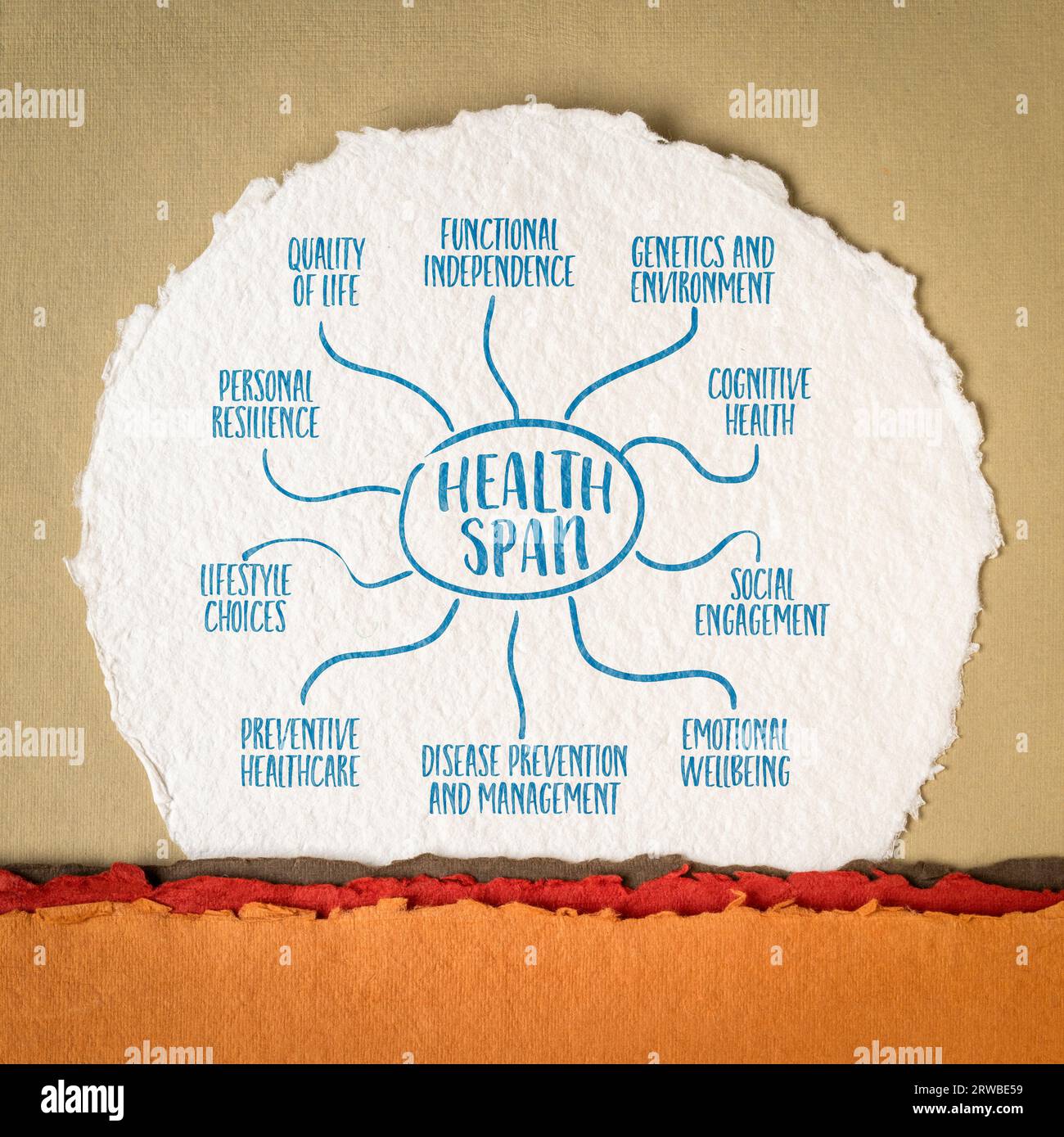 Healthspan infographics or mind map on art paper. It represents the