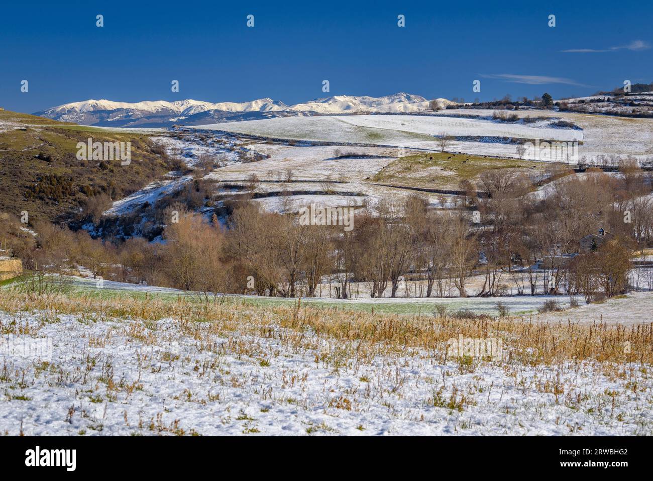 Fields and snowy mountains in winter near the village of Montellà (Cerdanya, Catalonia, Spain, Pyrenees) ESP: Campos y montañas nevadas en invierno Stock Photo