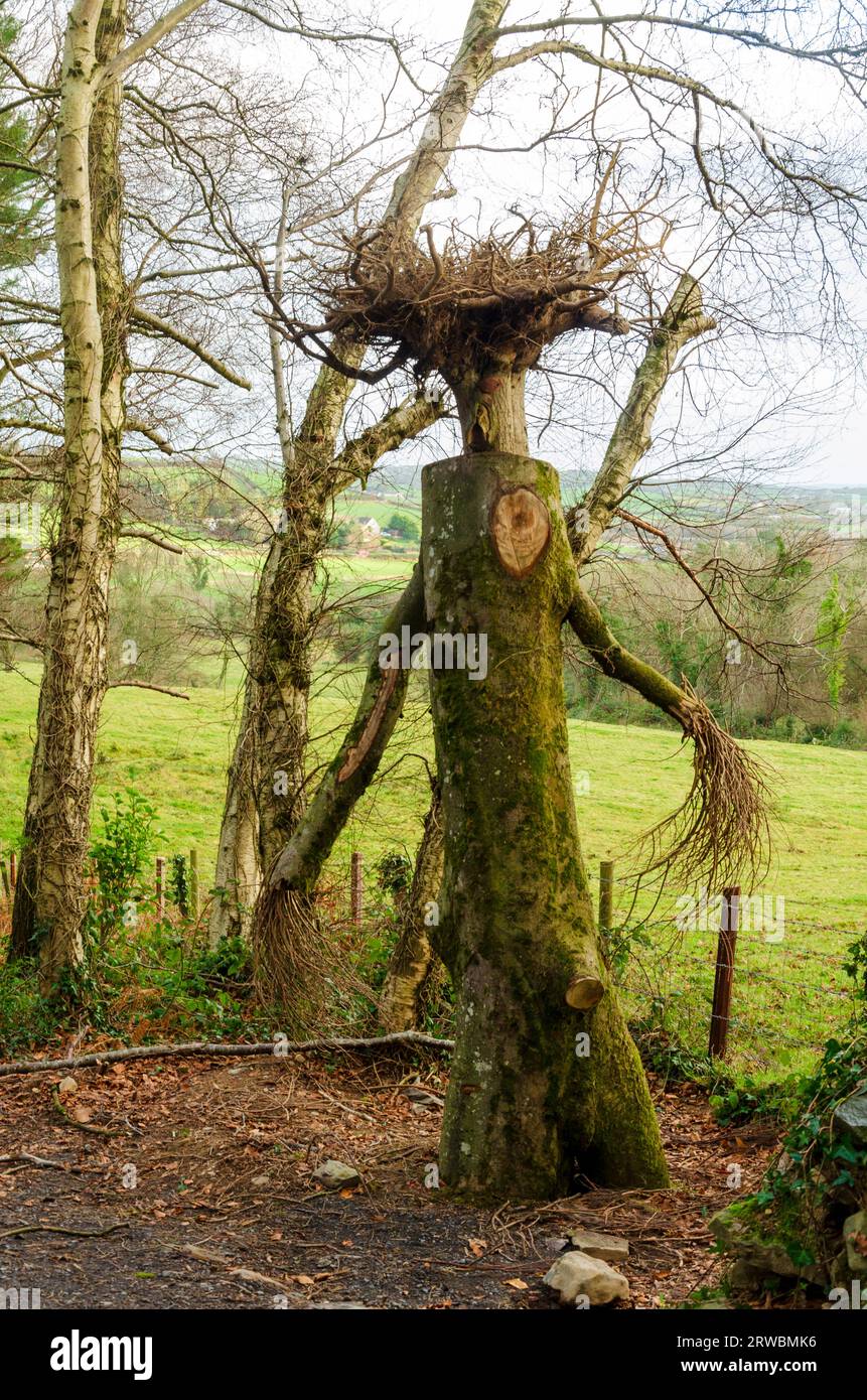 Wooden forest man in Rowallane park in County Down created using a tree stump with twigs for hands and hair Stock Photo