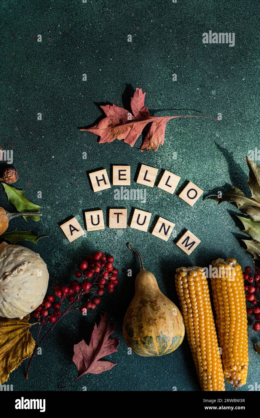 Top view composition of ripe collected pumpkin and corn cobs arranged with game word wood tiles saying Hello Autumn on green background Stock Photo