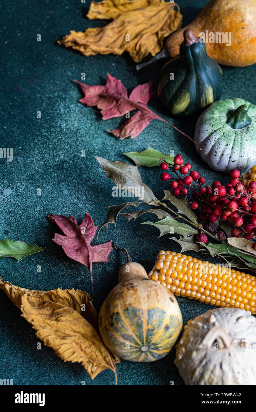 Top view of empty dark green background with line and dried leaves of composed multicolored pumpkins for autumn season Stock Photo