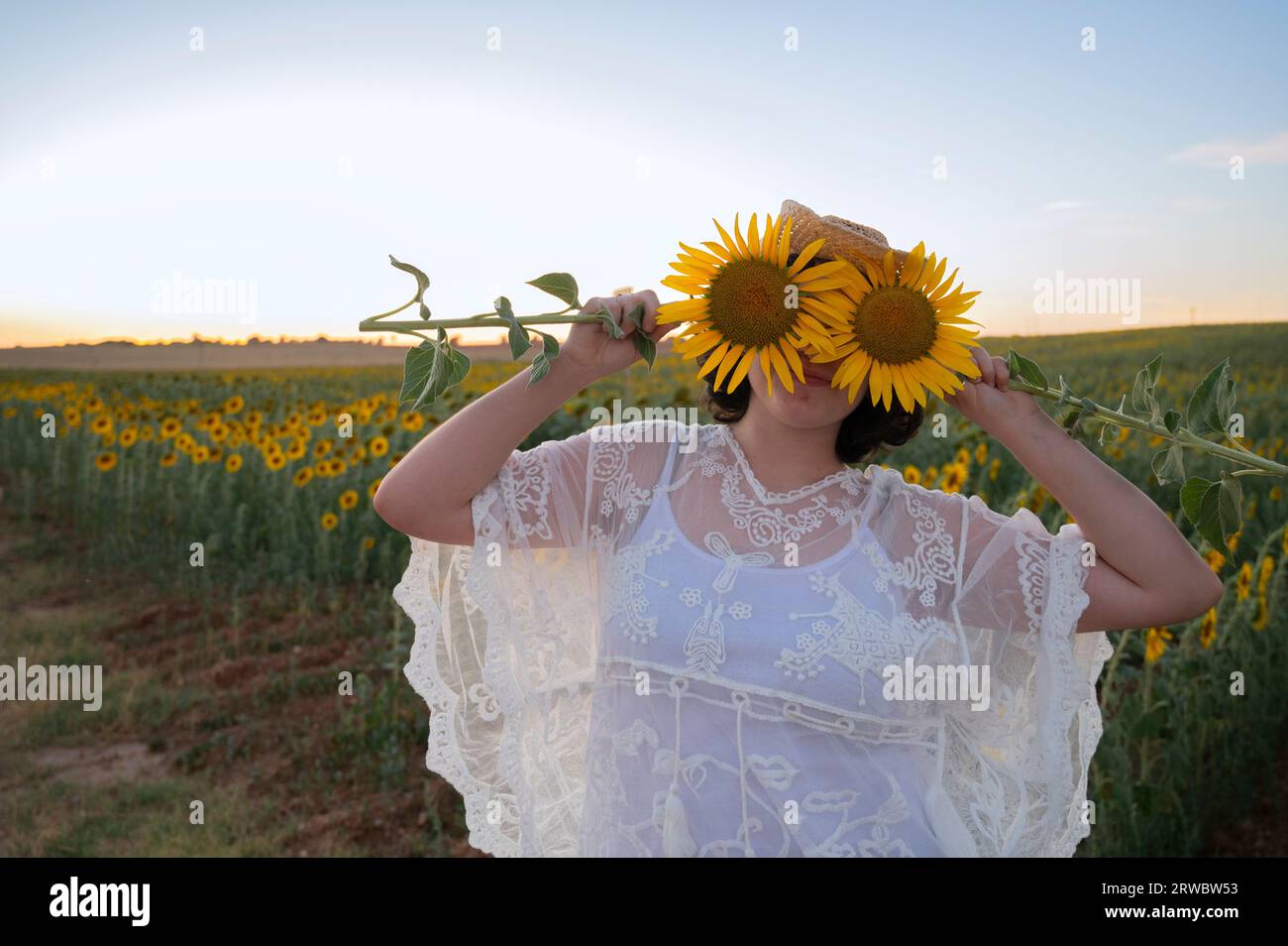 Unrecognizable female in white clothes and straw hat covering face with sunflowers while standing near field under sunset sky Stock Photo