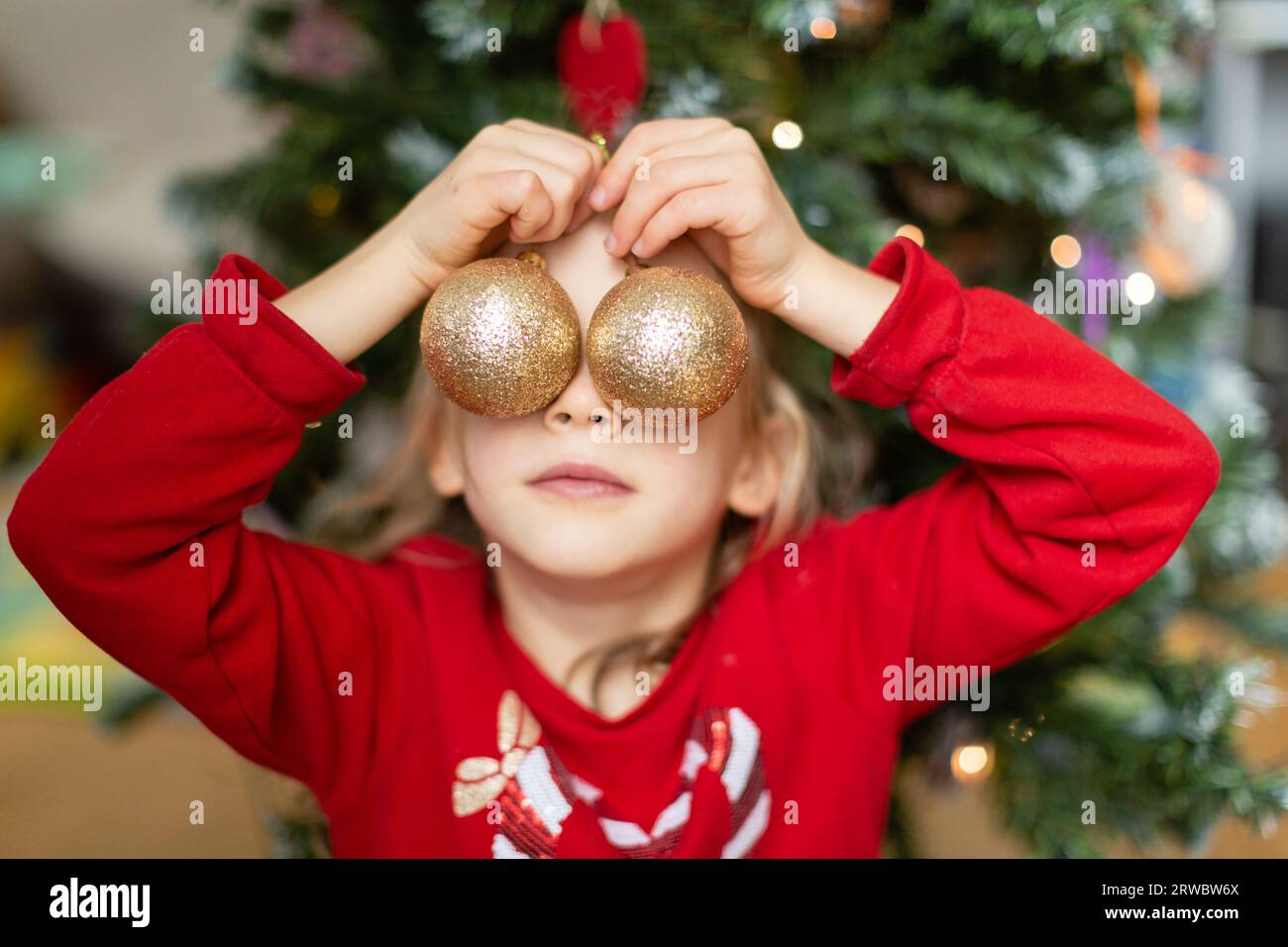 Little girl in red sweater covering eyes with baubles against Christmas tree at home Stock Photo