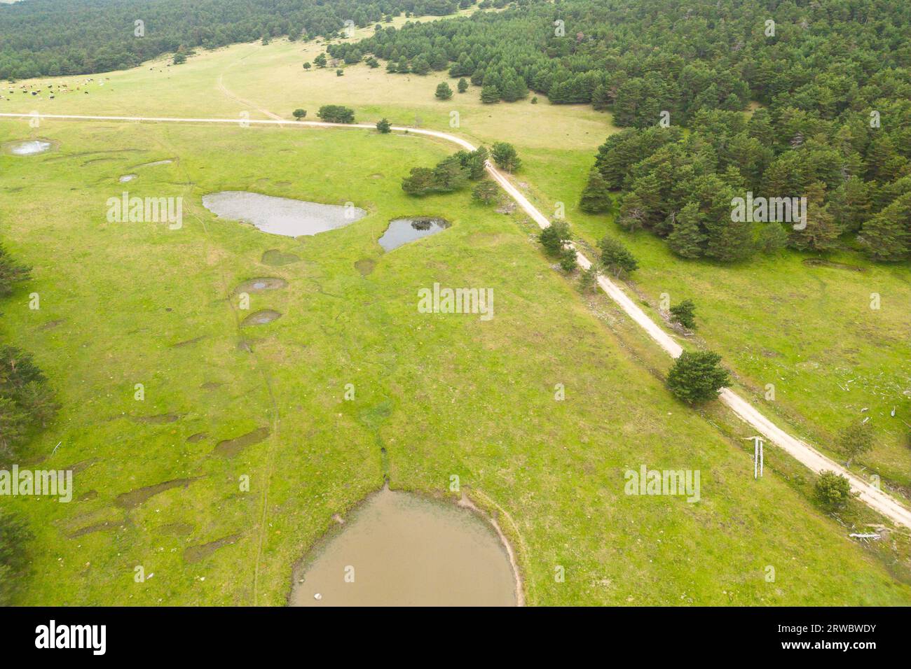 Aerial view of asphalt road going through green and hills covered with ...