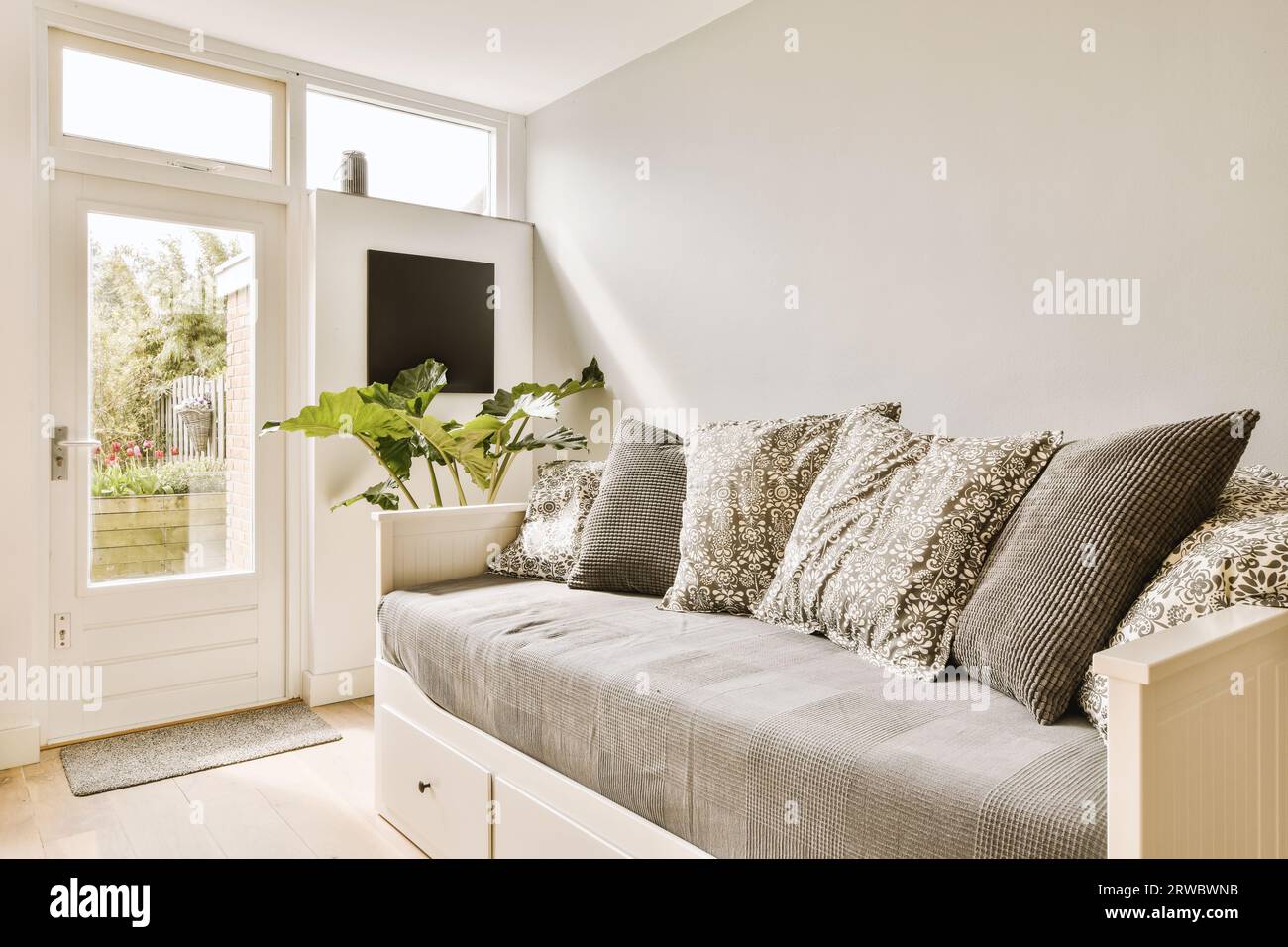 Cushions on cozy comfortable couch and plant next to bright closed door in living room with white walls at contemporary house Stock Photo