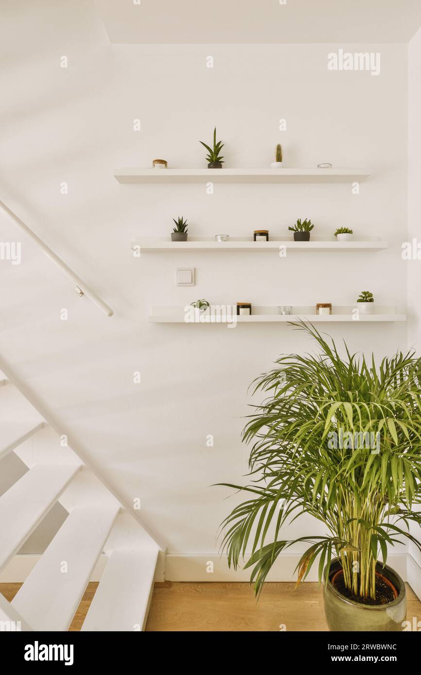 White shelves with decorative potted plants next to staircase on light wall in contemporary house Stock Photo