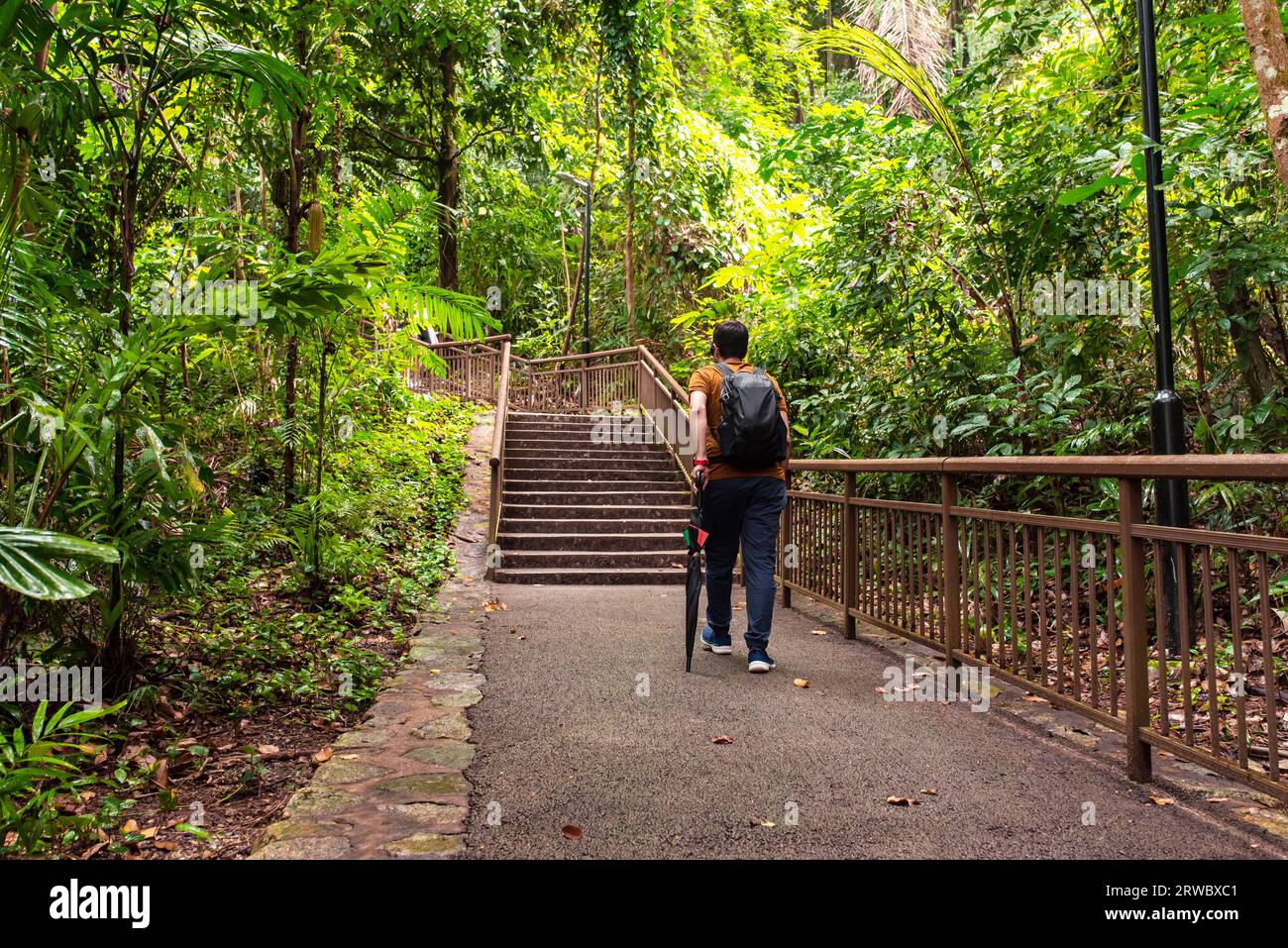 Mount Faber Mount faber trail hi-res stock photography and images - Alamy