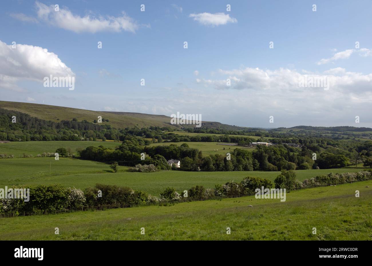Great Hill and the West Pennine Moors viewed from Near Wheelton Lancashire England Stock Photo