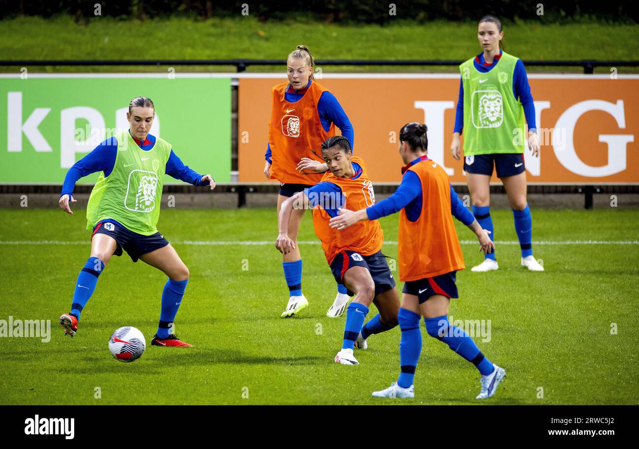 KNVB Football Lionesses Orange 