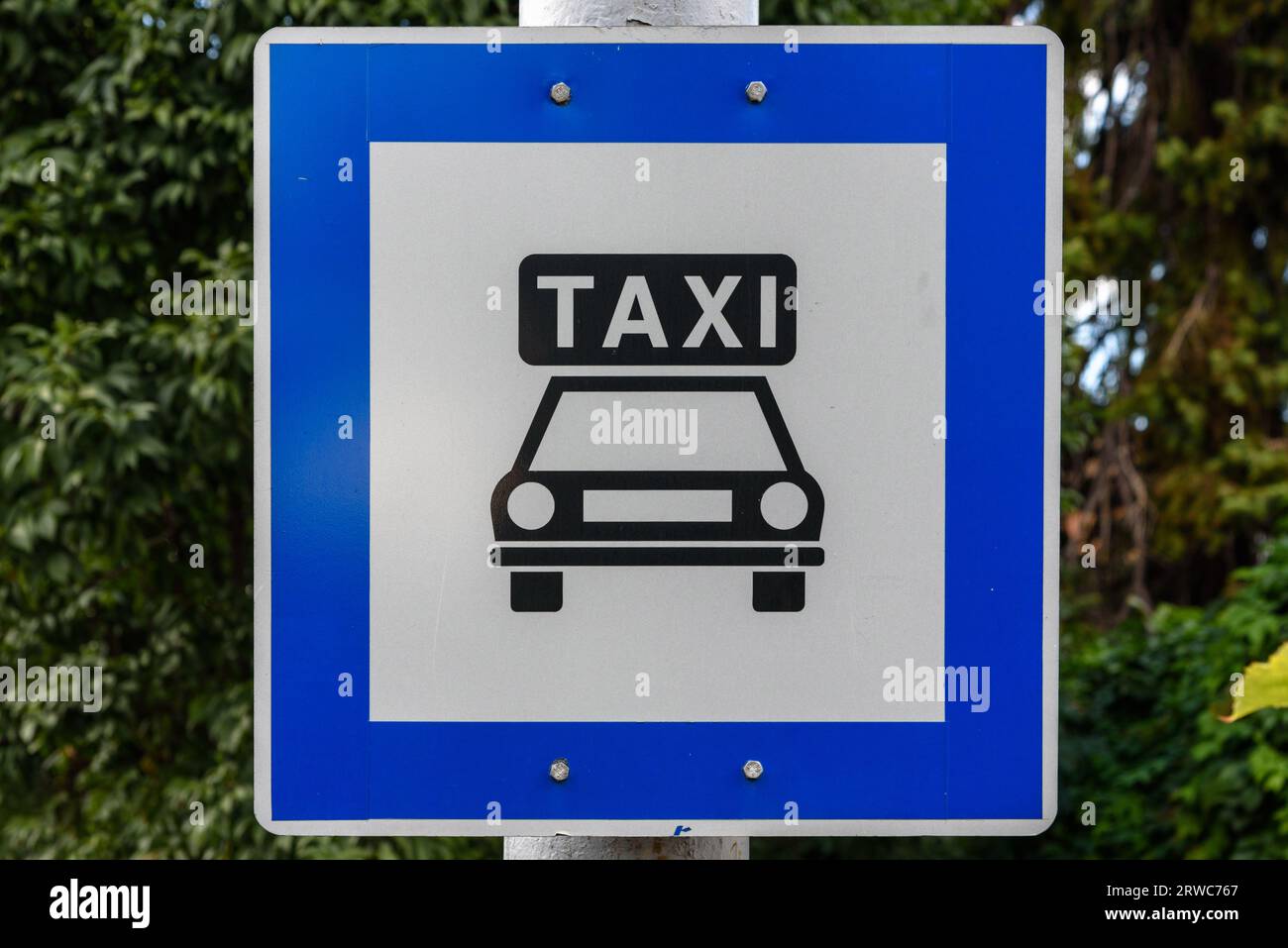 A sign for a taxi rank in Hungary Stock Photo Alamy