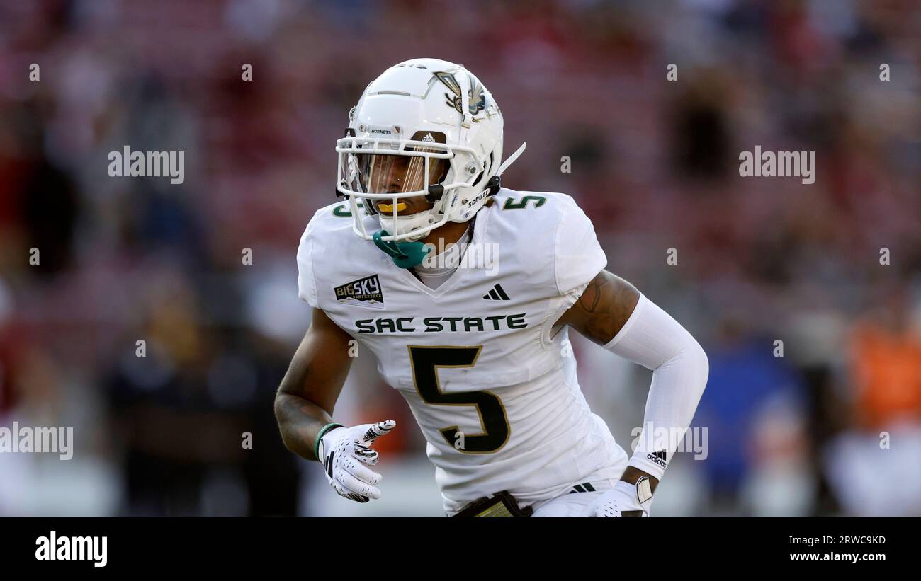 Sacramento State Hornets wide receiver Devin Gandy (5) runs a route against  the Stanford Cardinal during an NCAA football game on Saturday, Sept. 16,  2023 in Stanford, Calif. (AP Photo/Lachlan Cunningham Stock
