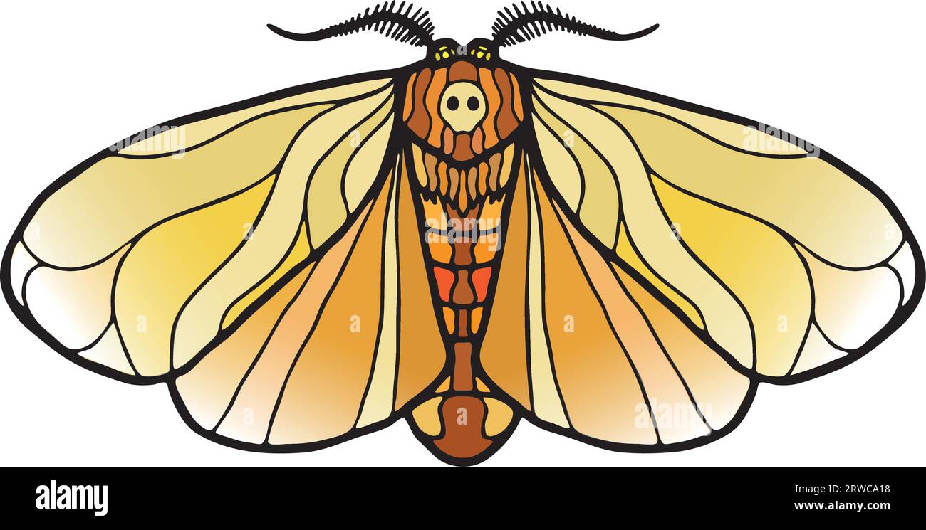 Intricate, symmetrical Death's Head Hawkmoth, Art Nouveau and Gothic inspiration, radiant stained glass with vibrant, natural hues. Stock Vector