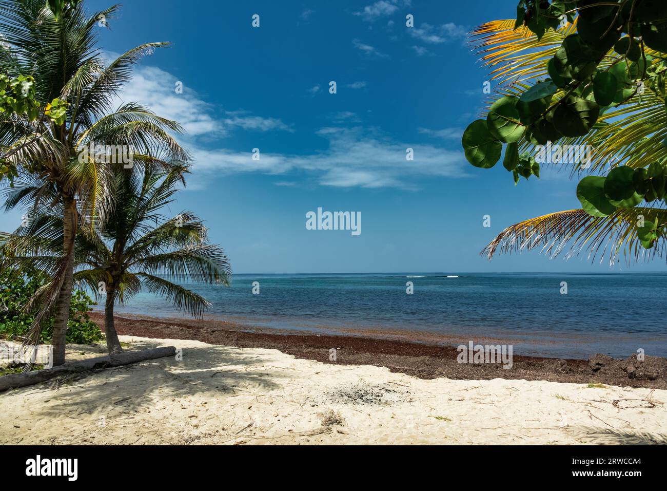 st croix the virgin islands