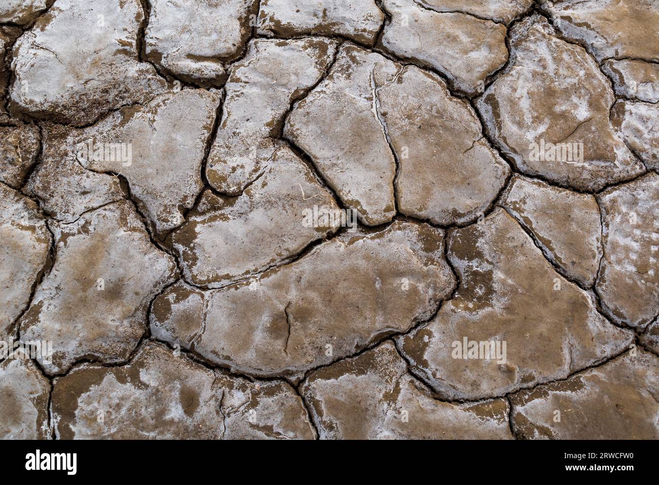 Parched soil cracks patterns hi-res stock photography and images - Alamy