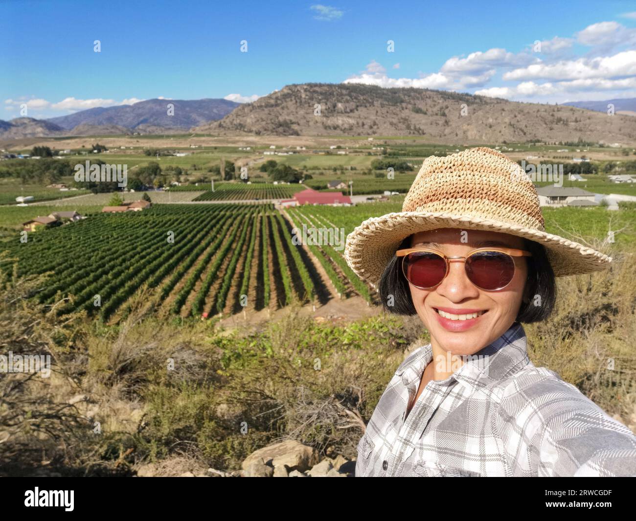 Young female tourist taking selfie in organic grape vineyards, Okanagan Valley, British Columbia Canada in summer season. Stock Photo