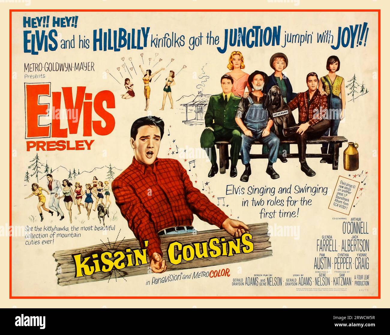 ELVIS PRESLEY Kissin' Cousins (stylized onscreen as KISƧIN' COUSINS) is a 1964 American musical Panavision Metrocolor comedy film directed by Gene Nelson and starring Elvis Presley. Written by Gerald Drayson Adams and Gene Nelson, the film featured Presley playing two roles: an Air Force officer, with dark hair, and his look-alike hillbilly distant cousin, with blond hair. 1964 Elvis Presley Film Movie poster lithograph 'KISSIN' COUSINS' produced by MGM Stock Photo