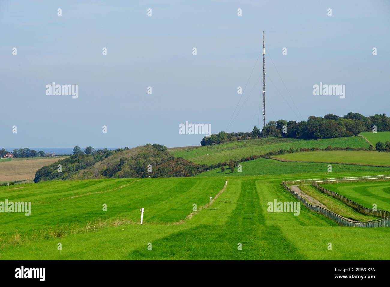 View to the Hannington transmitter mast on Cottington's Hill from the training gallops at the crest of Watership Down Stock Photo